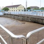 Startup Phase of MBBR Systems: How to Accelerate Biofilm Growth and Reach Stable Performance Faster