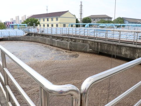 MBBR Sistemlerinde Devreye Alma Süreci: Biyofilm Oluşumunu Hızlandırmak ve Stabil Performansa Daha Hızlı Ulaşmak