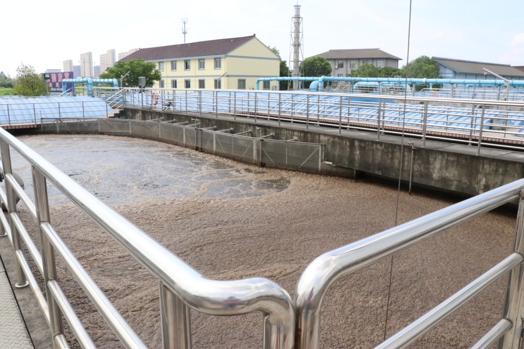 Startup Phase of MBBR Systems: How to Accelerate Biofilm Growth and Reach Stable Performance Faster