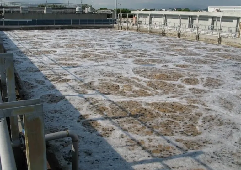 MBBR Media Filling Ratio: How It Impacts Reactor Performance, Stability, and Design Efficiency