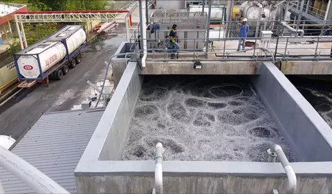 Energy Optimization in MBBR Systems: How Media and Aeration Strategy Drive Real Efficiency
